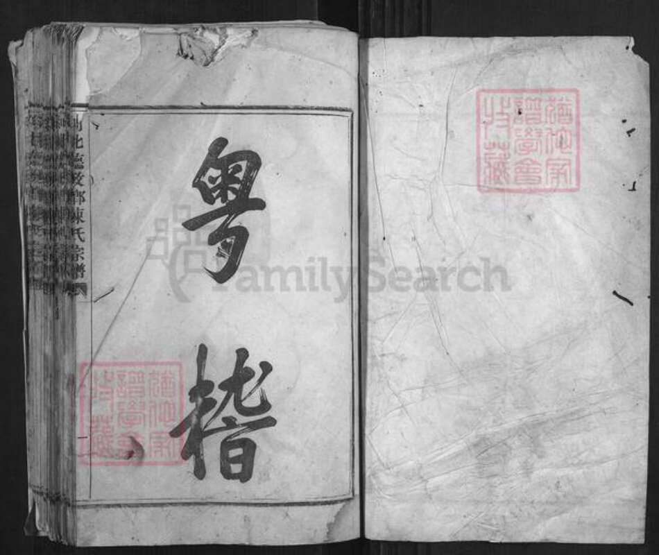 浙江省绍兴嵊州市陈氏族谱-剡北德政乡陈氏宗谱[不分卷].pdf电子版预览图1