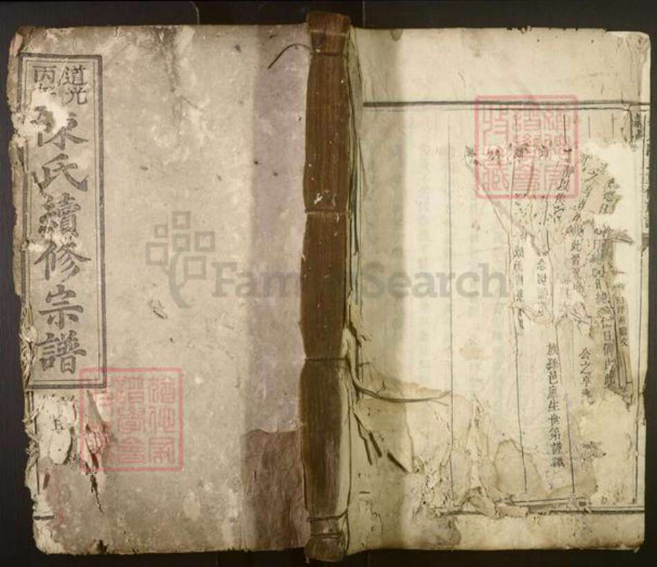 湖南省株洲市茶陵县陈氏族谱-颖川陈氏续修族谱[10卷].pdf电子版缩略图