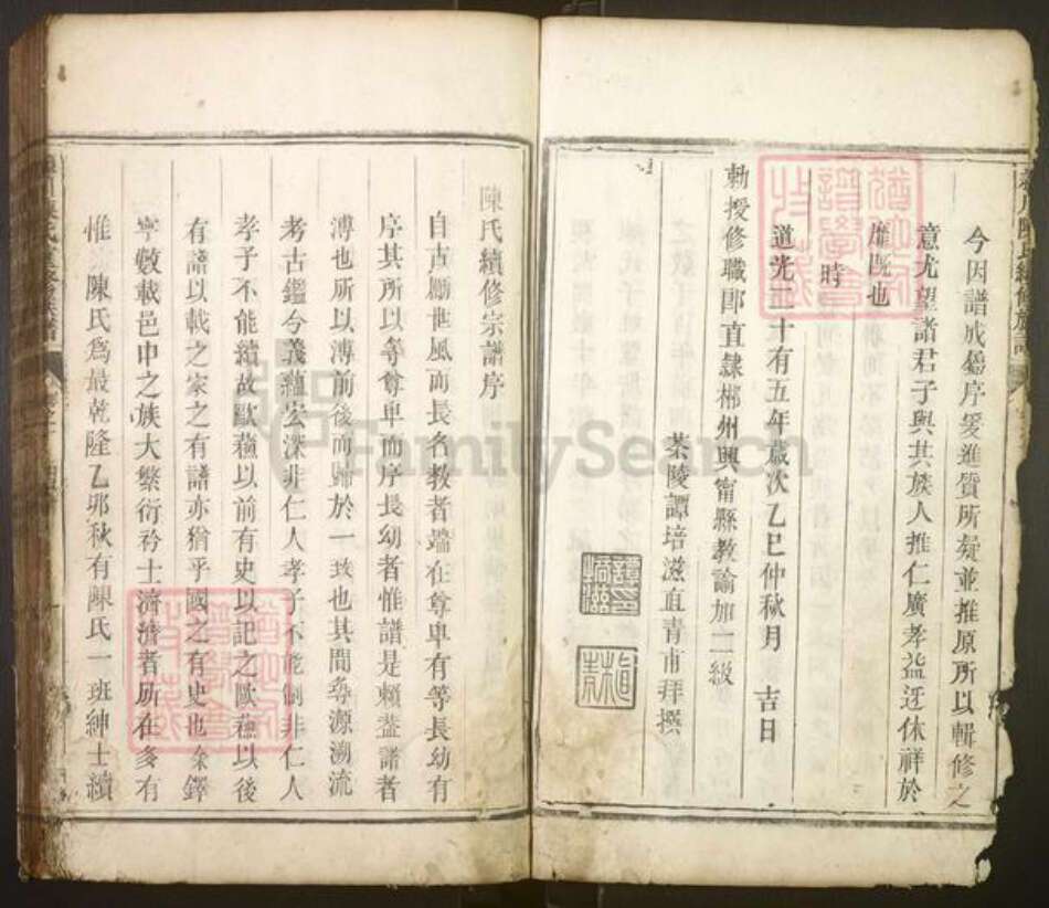 湖南省株洲市茶陵县陈氏族谱-颖川陈氏续修族谱[10卷].pdf电子版预览图4