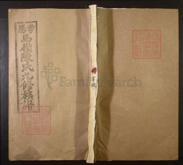 江西省陈氏族谱-雩阳马岭陈氏九修族谱[不分卷].pdf电子版缩略图