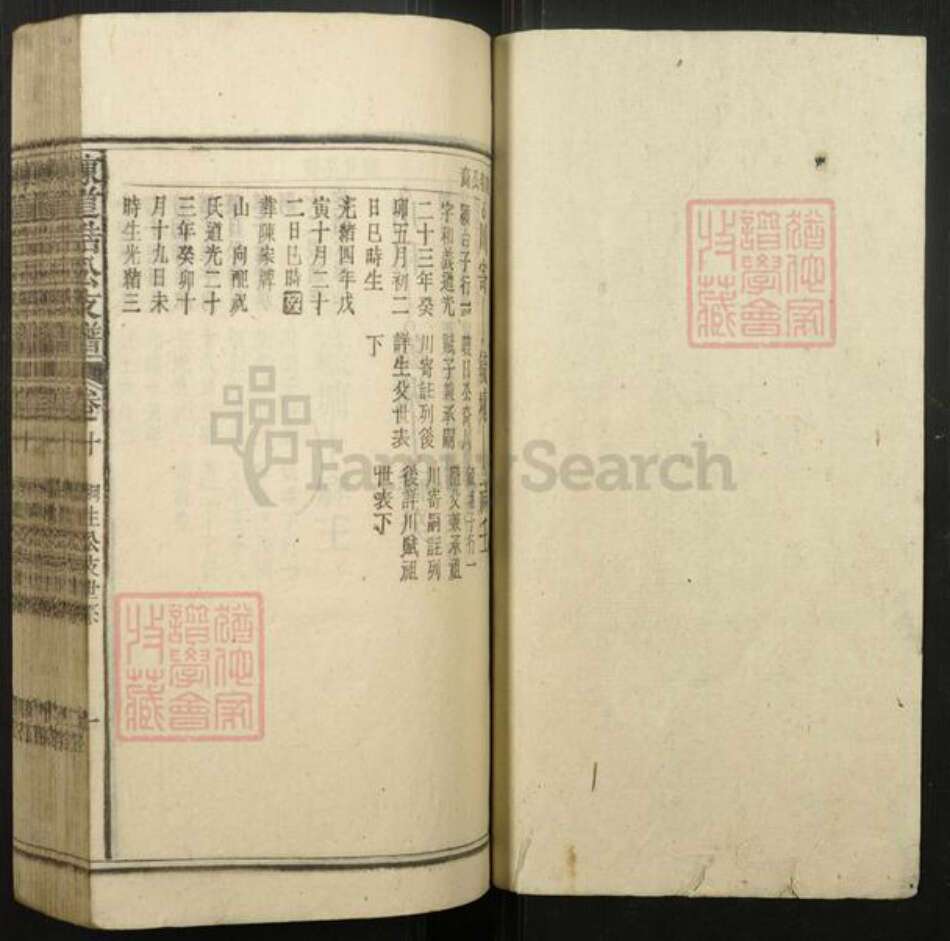 安徽省安庆市宿松县陈氏族谱-陈道浣涧渲公支谱.pdf电子版预览图1