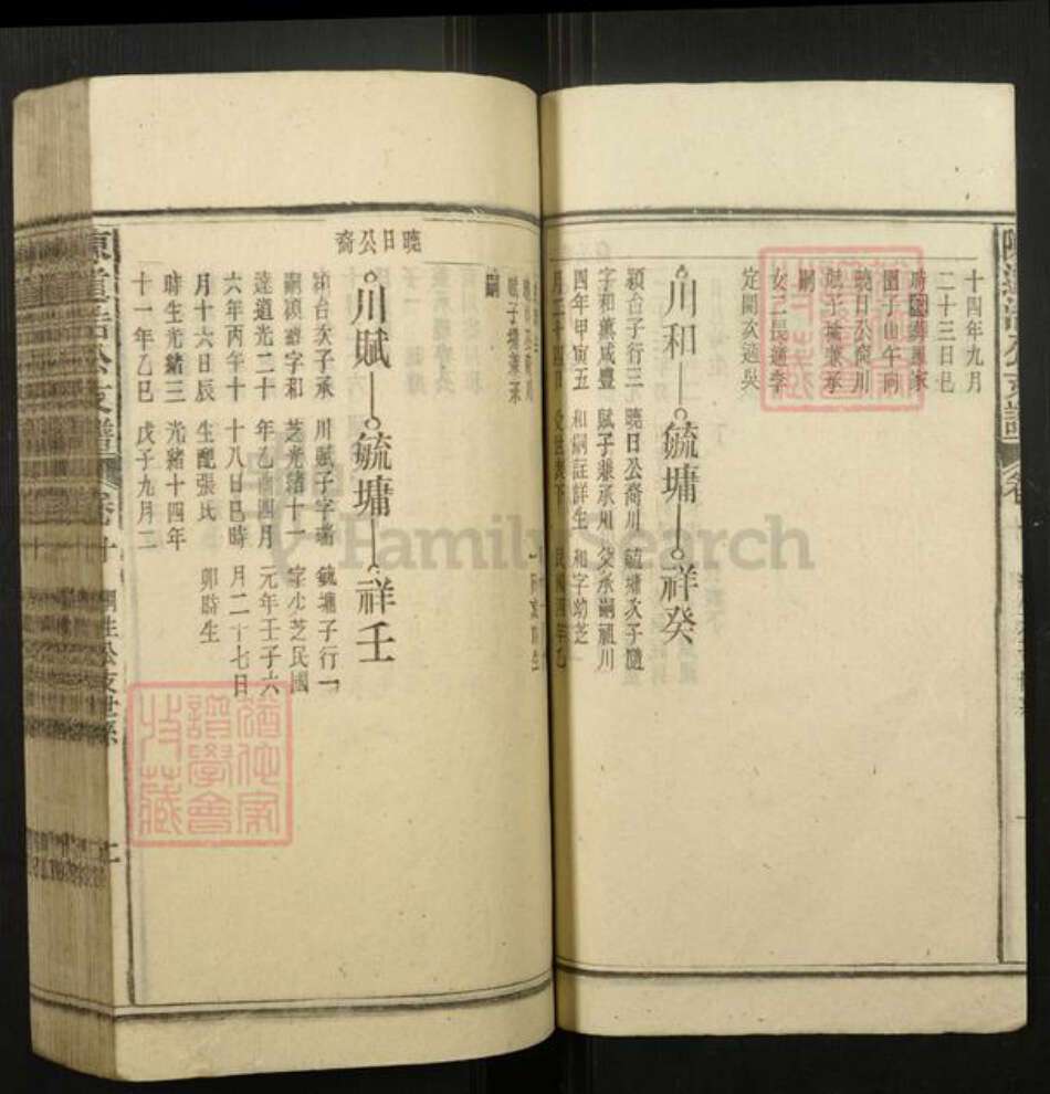 安徽省安庆市宿松县陈氏族谱-陈道浣涧渲公支谱.pdf电子版预览图2