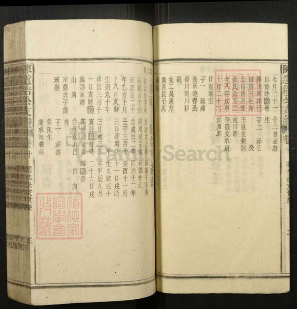 安徽省安庆市宿松县陈氏族谱-陈道浣涧渲公支谱.pdf电子版预览图3