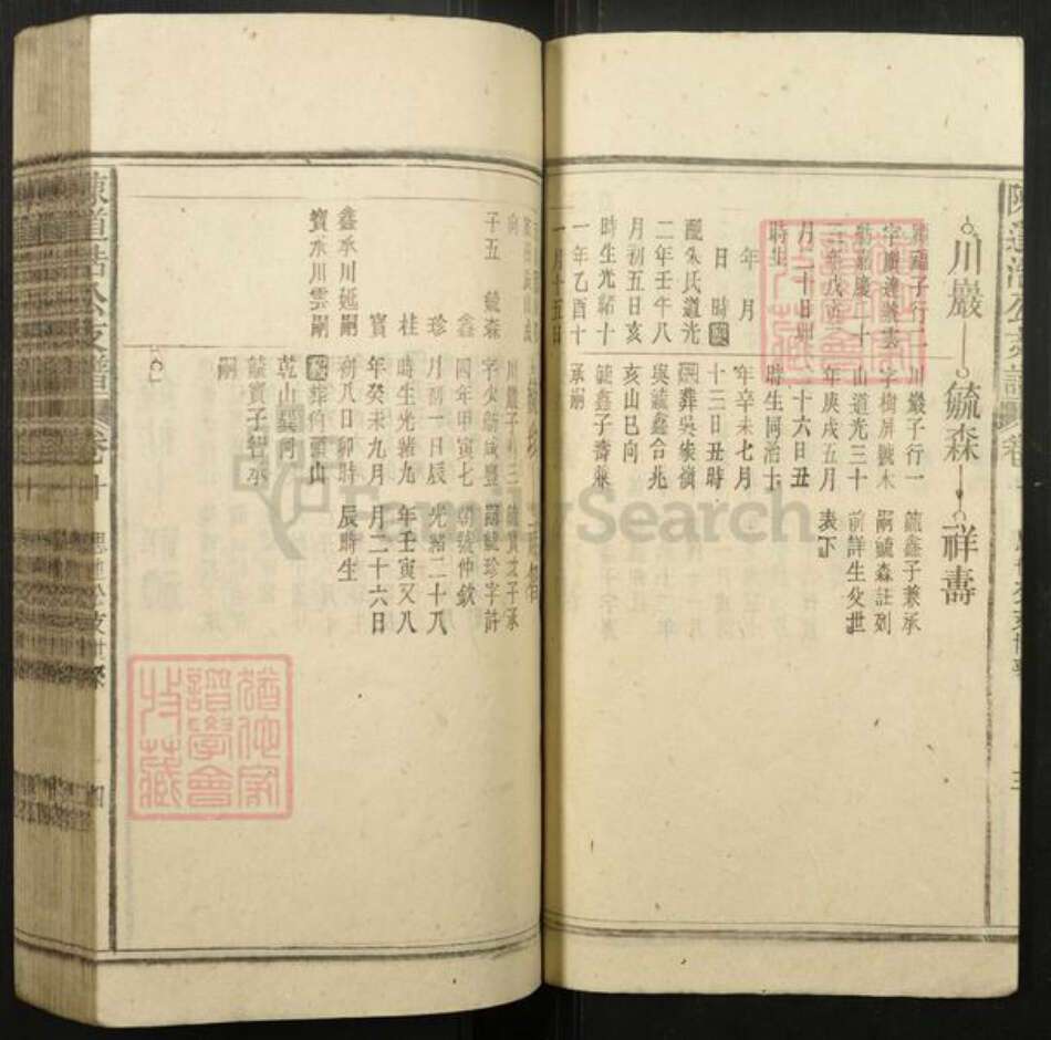 安徽省安庆市宿松县陈氏族谱-陈道浣涧渲公支谱.pdf电子版预览图4