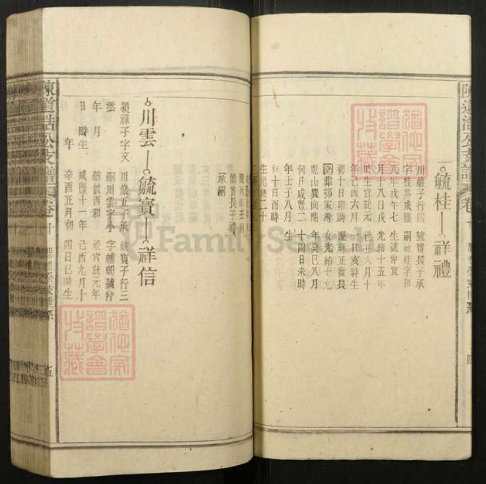 安徽省安庆市宿松县陈氏族谱-陈道浣涧渲公支谱.pdf电子版预览图5