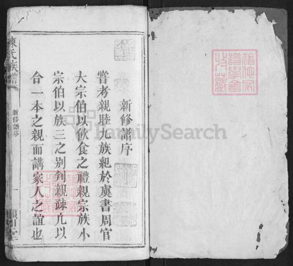 湖南省长沙市浏阳市浏阳陈氏族谱-陈氏族谱[不分卷].pdf电子版预览图1
