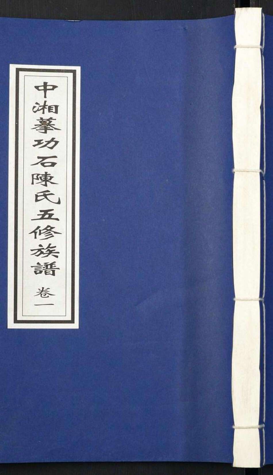 湖南省湘潭市陈氏族谱-中湘摹功石陈氏五修族谱[28卷].pdf电子版缩略图