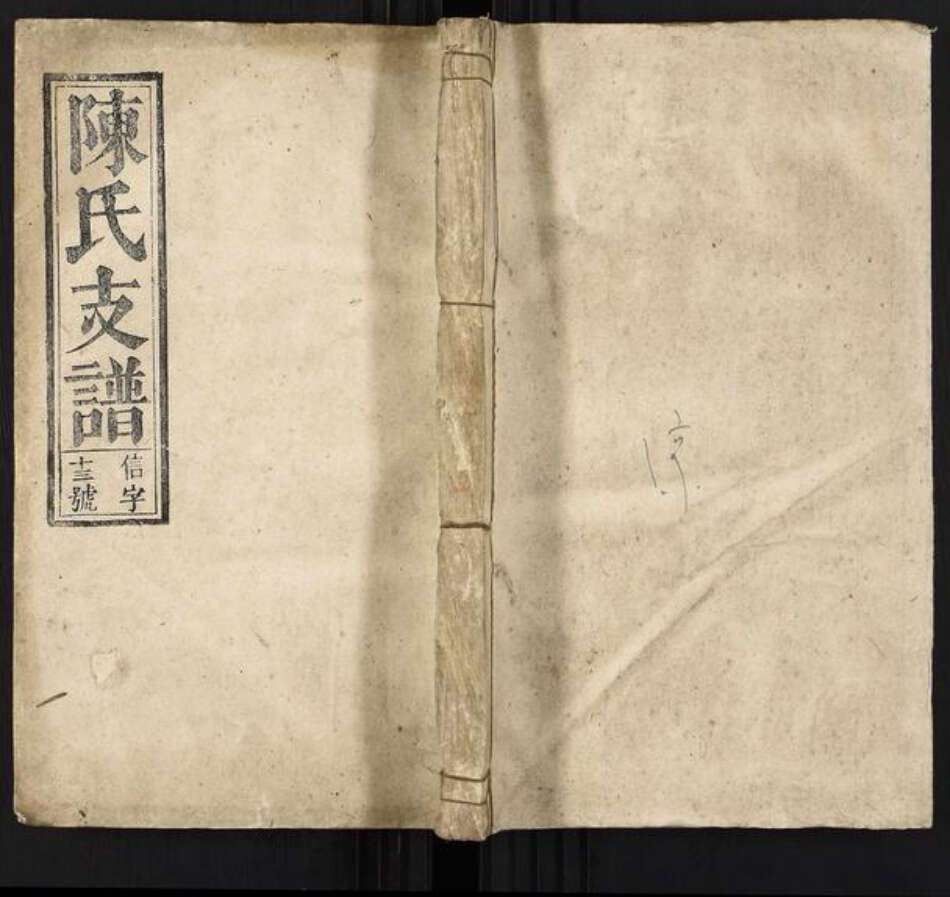安徽省安庆市宿松县陈氏族谱-陈道浩公支谱[19卷首1卷].pdf电子版缩略图
