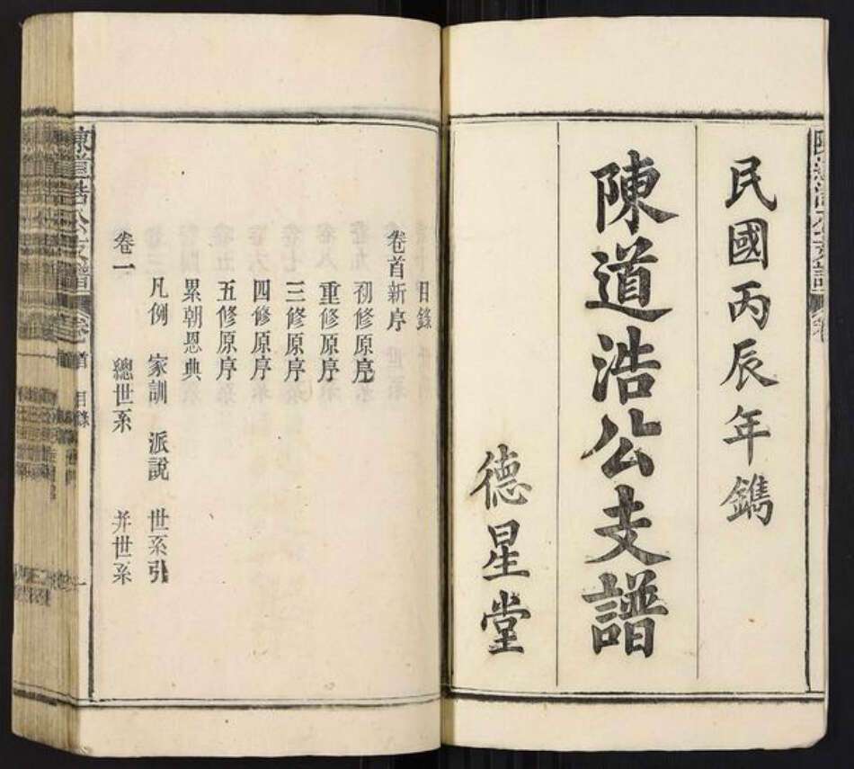 安徽省安庆市宿松县陈氏族谱-陈道浩公支谱[19卷首1卷].pdf电子版预览图1
