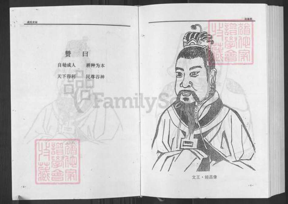 湖北省黄石市阳新县富池镇成氏南阳堂族谱-成氏史志.pdf电子版预览图5