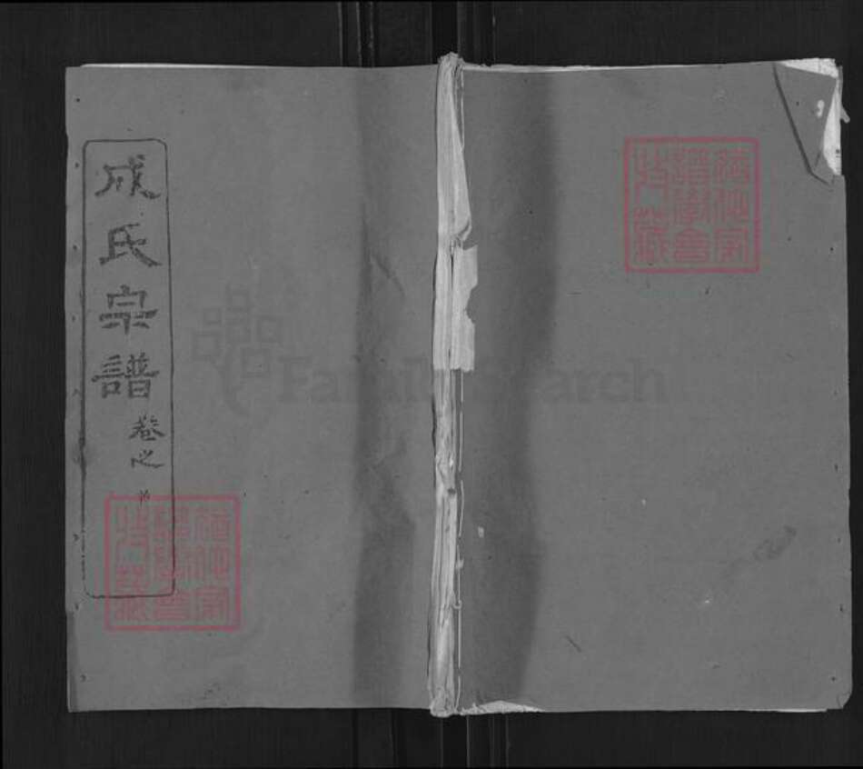 湖北省武汉市新洲区成氏亲睦堂族谱-成氏宗谱.pdf电子版缩略图