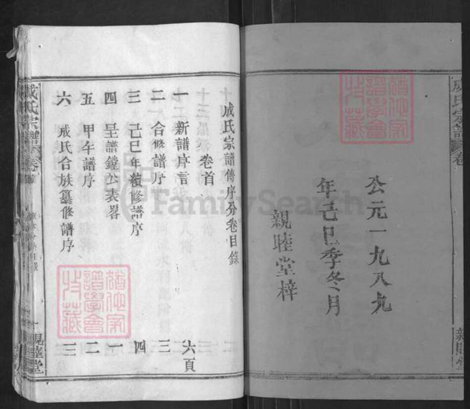 湖北省武汉市新洲区成氏亲睦堂族谱-成氏宗谱.pdf电子版预览图2