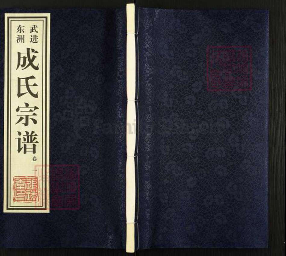 江苏省常州市武进县成氏追远堂族谱-成氏宗谱.pdf电子版缩略图