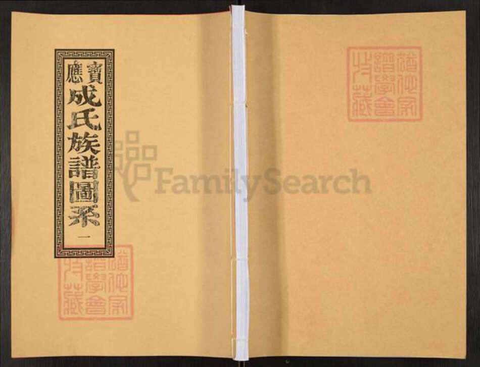 江苏省扬州市宝应县泛水镇成氏族谱-宝应成氏族谱图系.pdf电子版缩略图