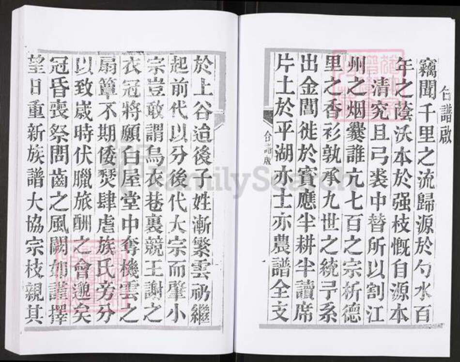 江苏省扬州市宝应县泛水镇成氏族谱-宝应成氏族谱图系.pdf电子版预览图5
