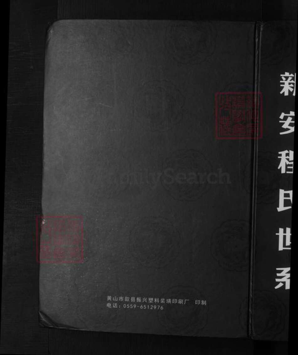 安徽省黄山市歙县程氏族谱-新安程氏世系.pdf电子版缩略图