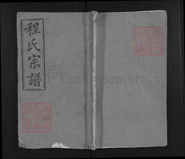 湖北省武汉市新洲区阳逻街道程氏四箴堂族谱-程氏宗谱.pdf电子版缩略图