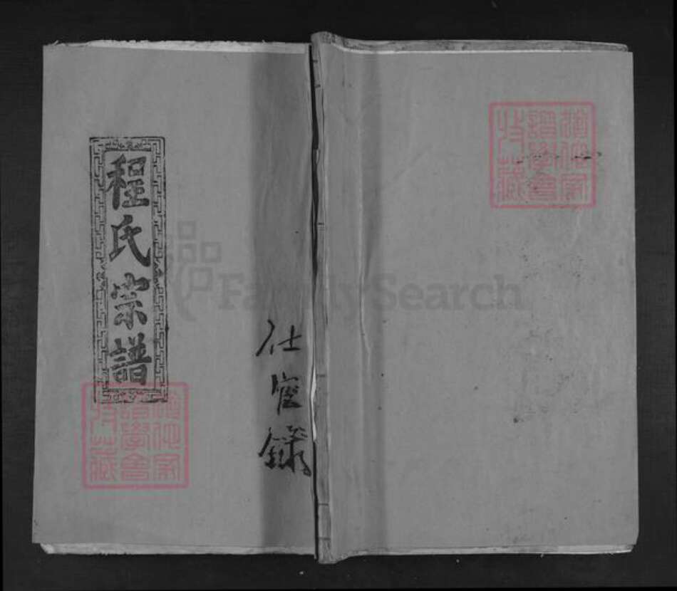 江西省九江市湖口县马影镇程氏族谱-程氏统修大成宗谱.pdf电子版缩略图