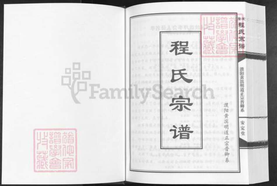 河南省濮阳市华龙区王助镇程氏安定堂族谱-安定程氏宗谱.濮阳黄滨明道正宗晋卿系.pdf电子版预览图1
