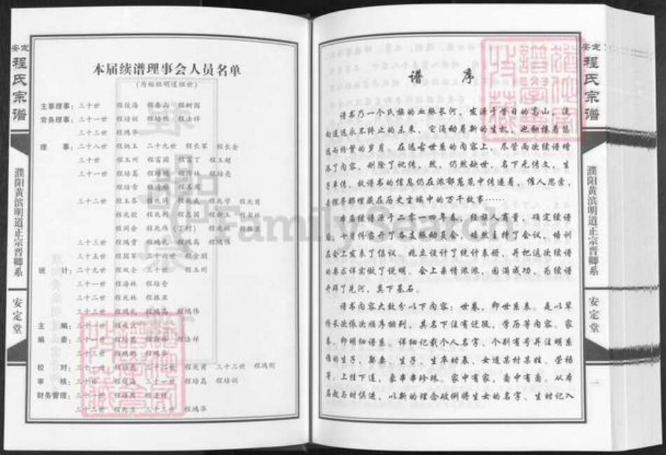 河南省濮阳市华龙区王助镇程氏安定堂族谱-安定程氏宗谱.濮阳黄滨明道正宗晋卿系.pdf电子版预览图2