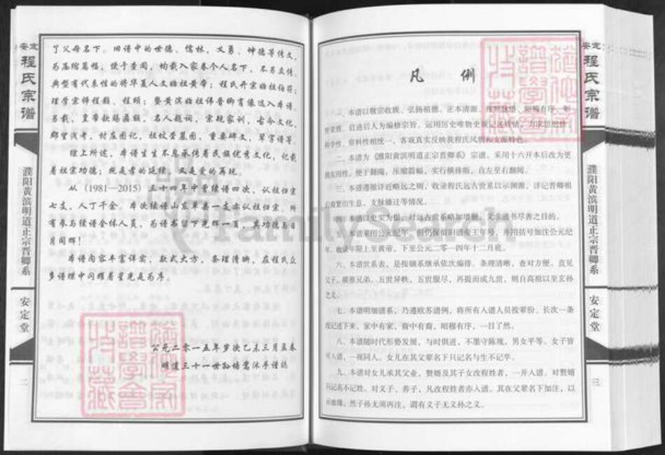 河南省濮阳市华龙区王助镇程氏安定堂族谱-安定程氏宗谱.濮阳黄滨明道正宗晋卿系.pdf电子版预览图3