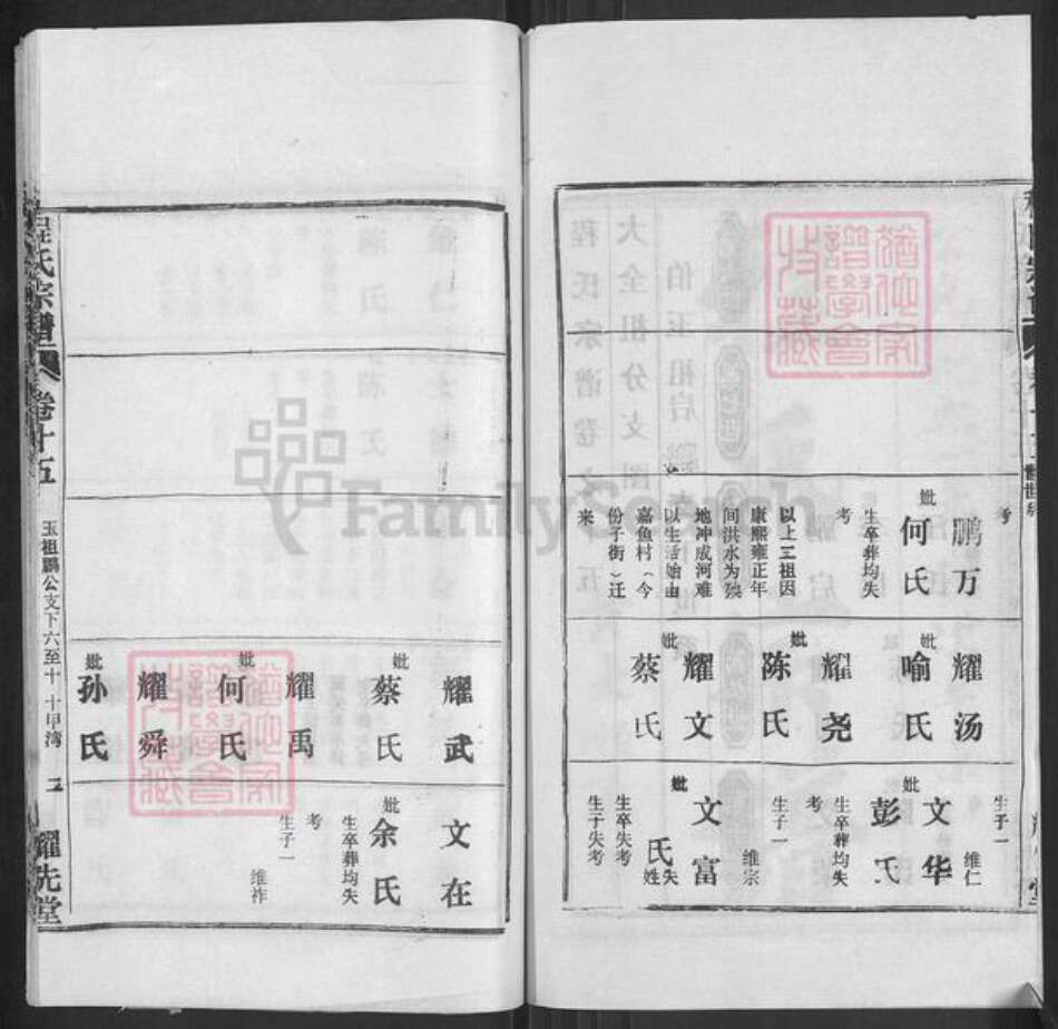 湖北省黄冈市浠水县散花镇程氏耀先堂族谱-程氏宗谱.pdf电子版预览图2