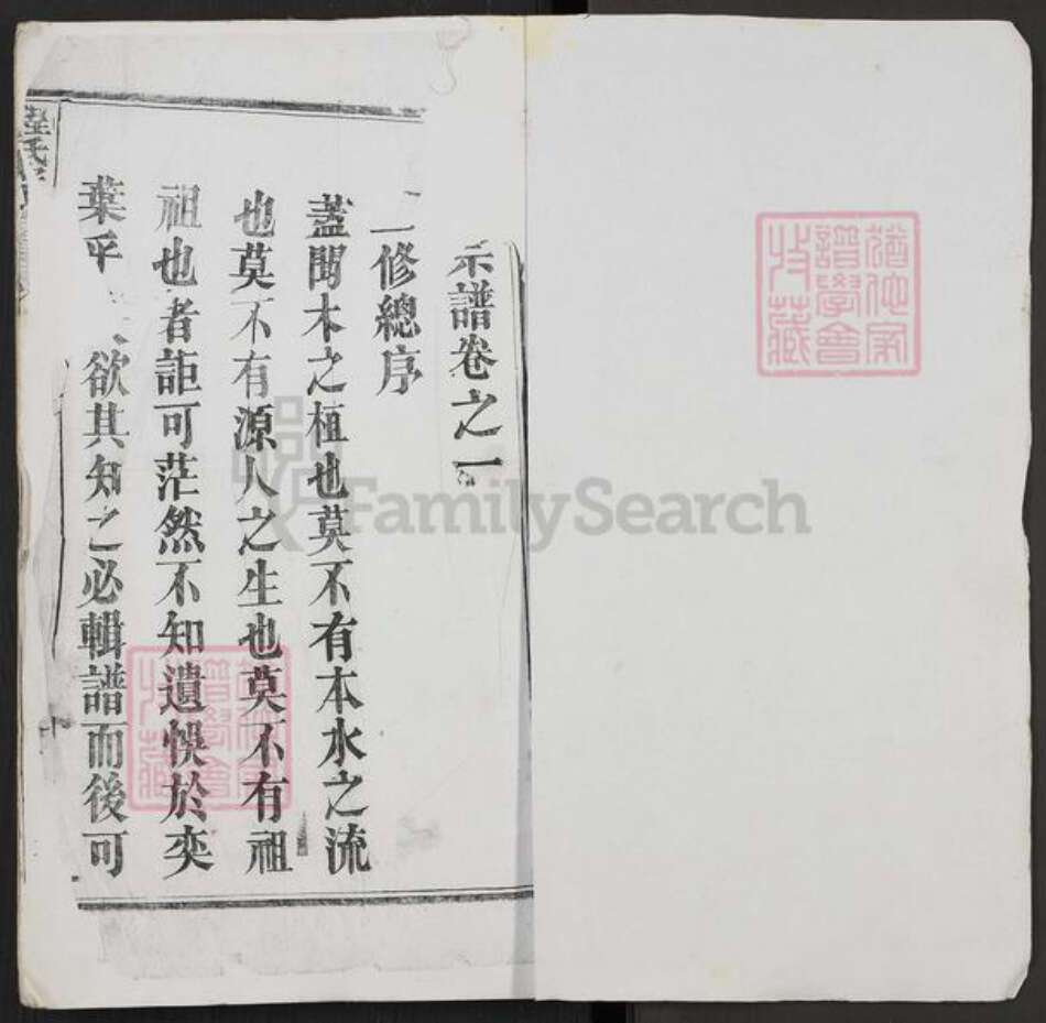 湖北省黄冈市麻城市白果镇程氏族谱-花山程氏宗谱.pdf电子版预览图1