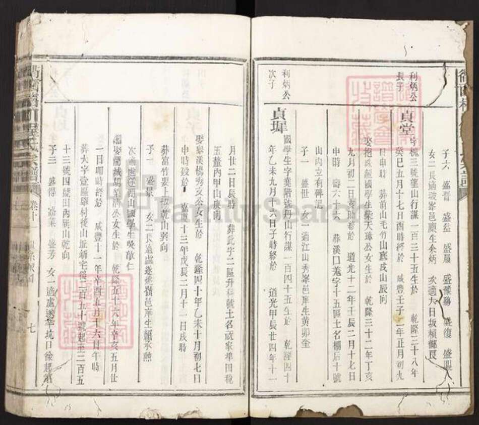 浙江省衢州柯城区程氏族谱-衢西柘川程氏宗谱.pdf电子版预览图3