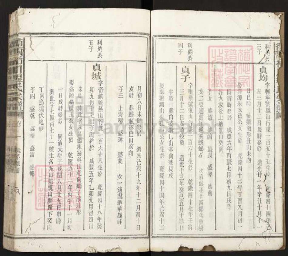 浙江省衢州柯城区程氏族谱-衢西柘川程氏宗谱.pdf电子版预览图4