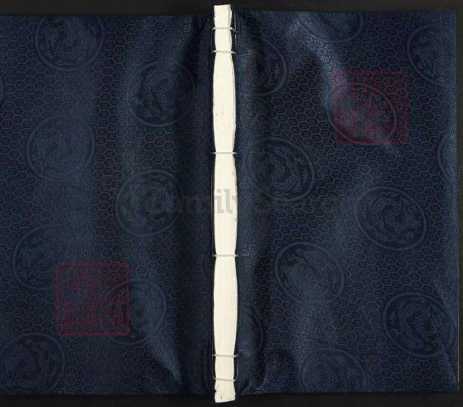 浙江省丽水市松阳县程氏族谱-安定程氏宗谱.pdf电子版缩略图