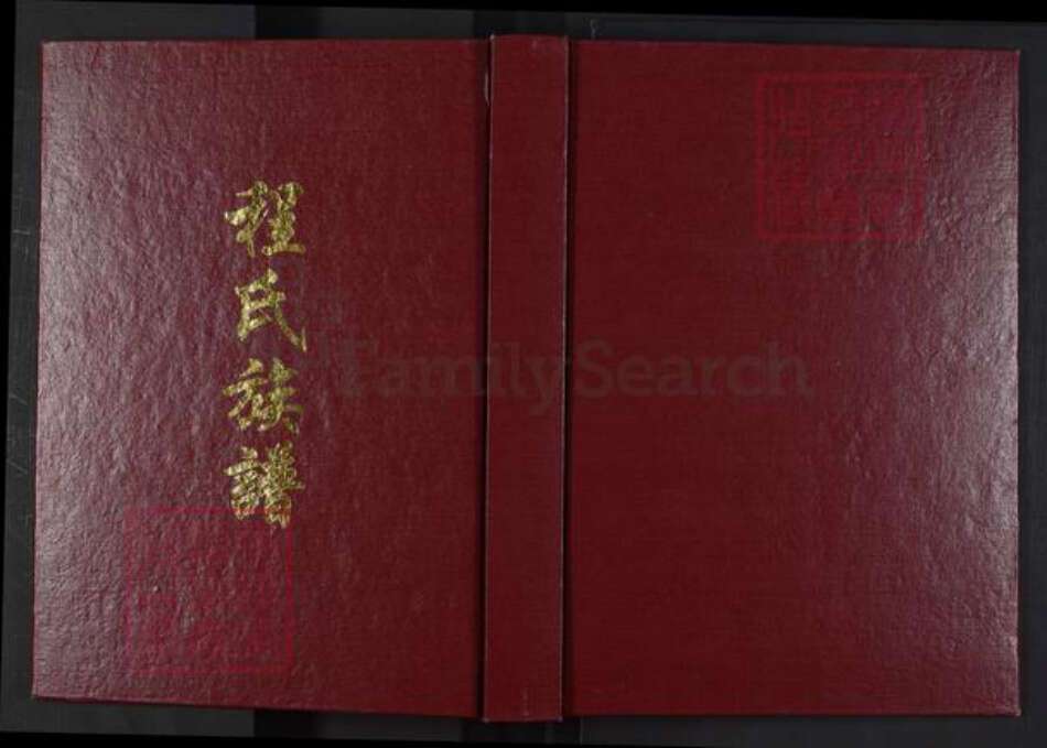 山东省济南市历城区程氏族谱-程氏族谱.pdf电子版缩略图