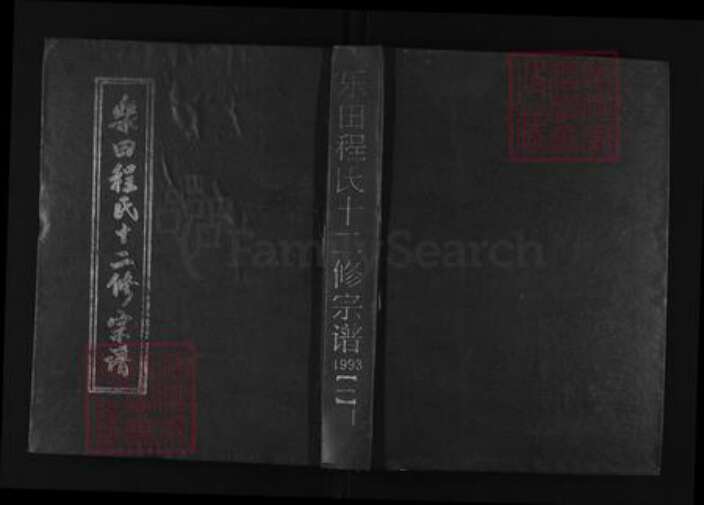 湖北省黄冈市浠水县程氏族谱-乐田程氏十二修宗谱.pdf电子版缩略图