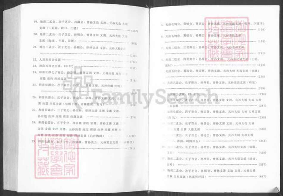 福建省福州市永泰县赤锡乡程氏族谱-永泰县仙瓢程氏宗谱.pdf电子版预览图3