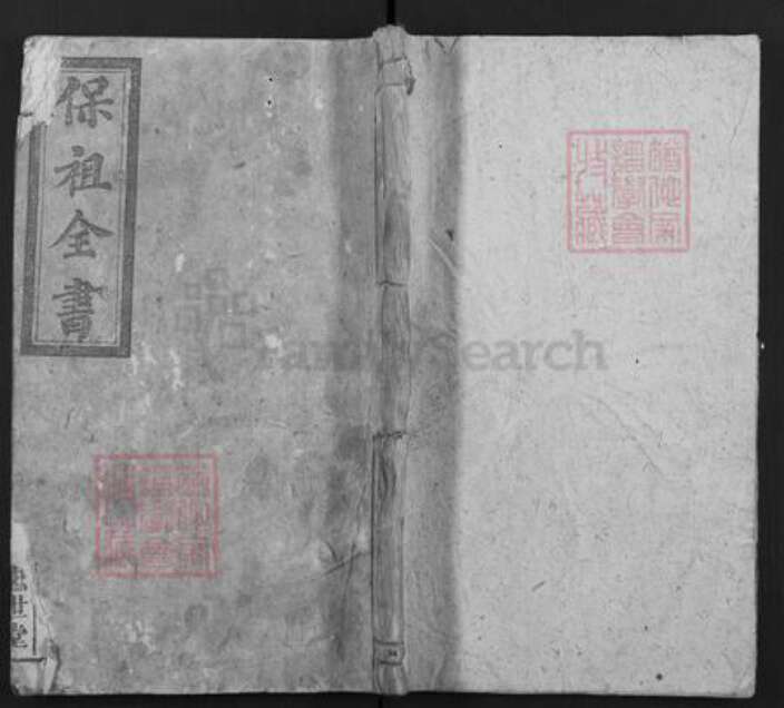 安徽省黄山市屯溪区屯光镇程氏世忠堂族谱-灊岳程氏宗谱.pdf电子版缩略图