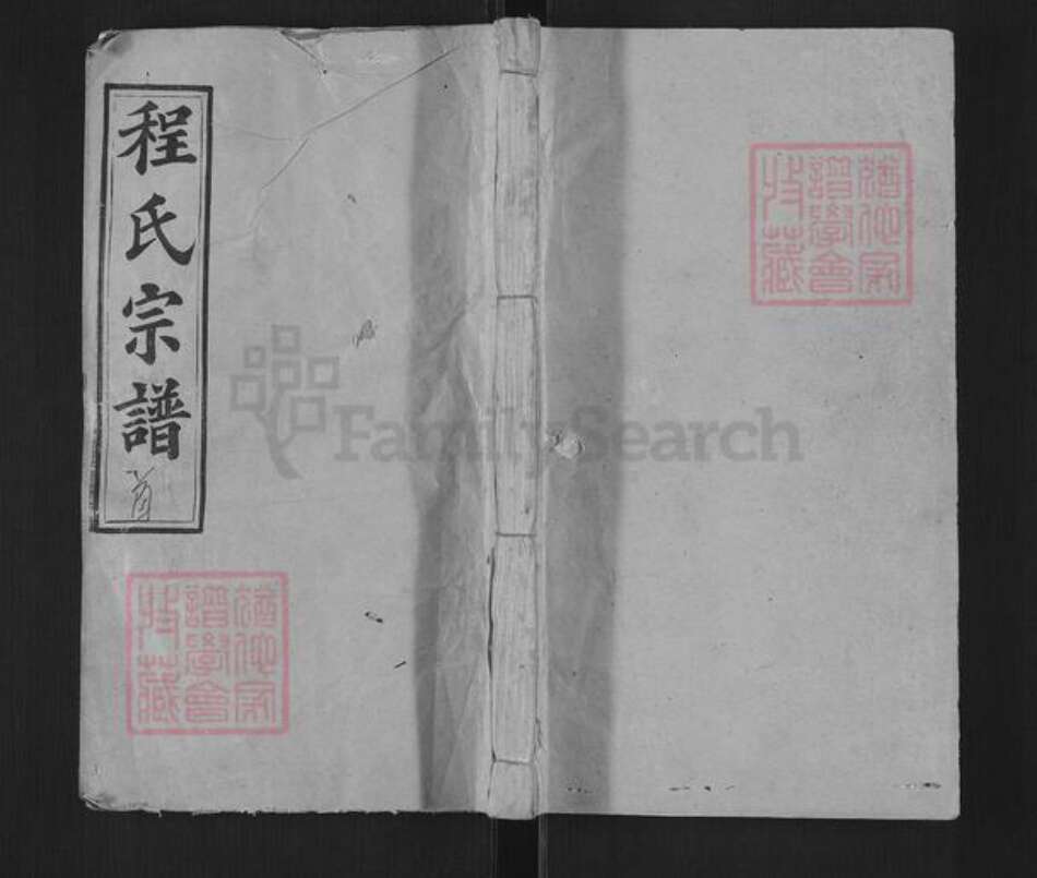 湖北省黄冈市罗田县平湖乡程氏明伦堂族谱-义水程氏宗谱.pdf电子版缩略图