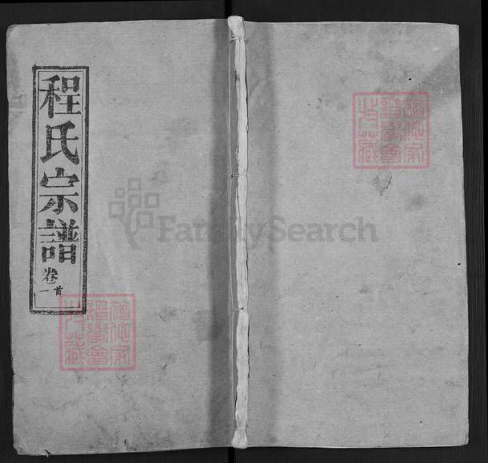 湖北省武汉市武昌区程氏瑞雪堂族谱-程氏宗谱.pdf电子版缩略图