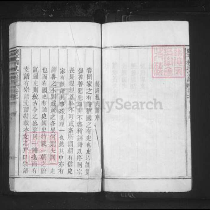 江西省景德镇市乐平市塔前镇程氏族谱-广平程氏宗谱.pdf电子版预览图3