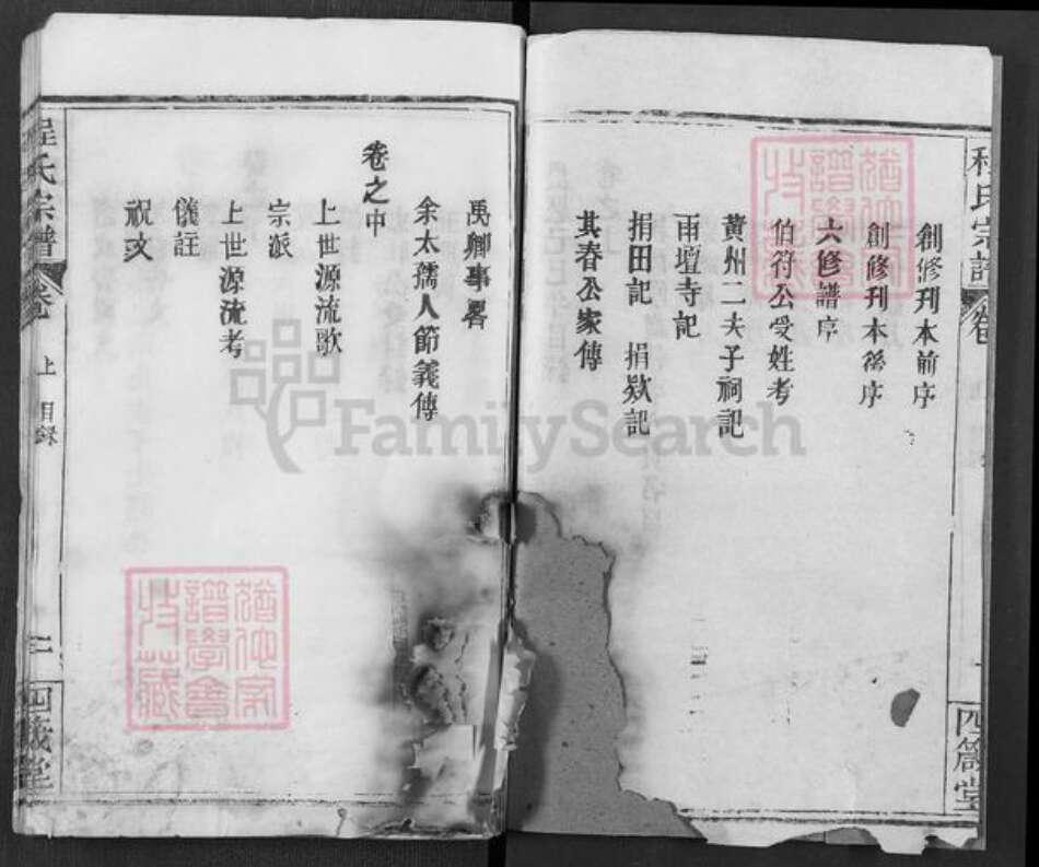 湖北省武汉市新洲区程氏四箴堂族谱-程氏宗谱.pdf电子版预览图2