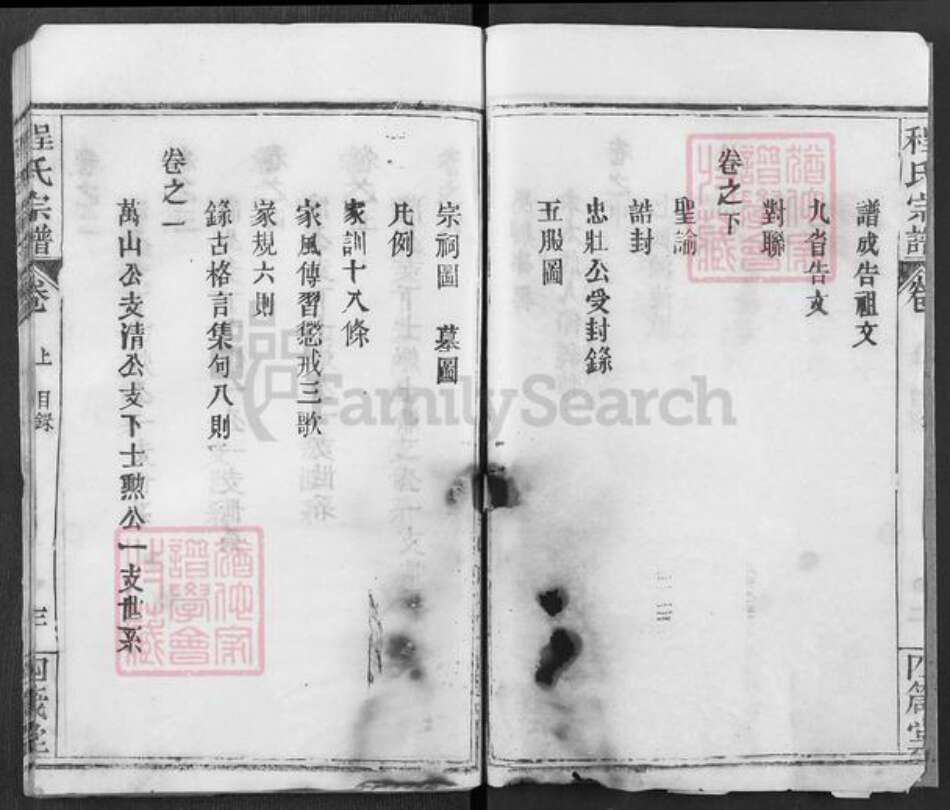 湖北省武汉市新洲区程氏四箴堂族谱-程氏宗谱.pdf电子版预览图3