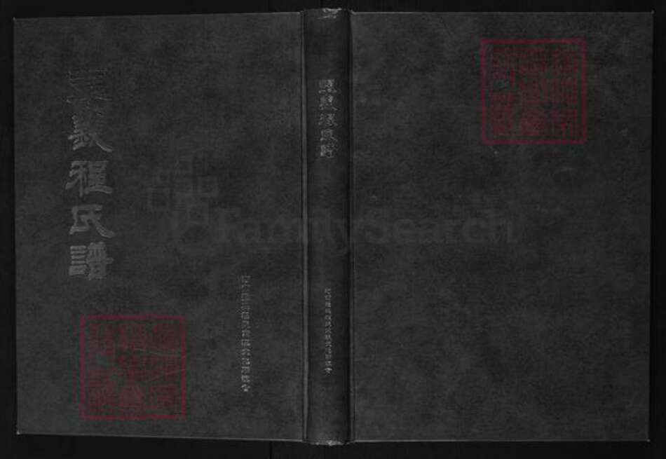 河南省郑州市巩义市米河镇程氏族谱-巩义程氏谱.pdf电子版缩略图