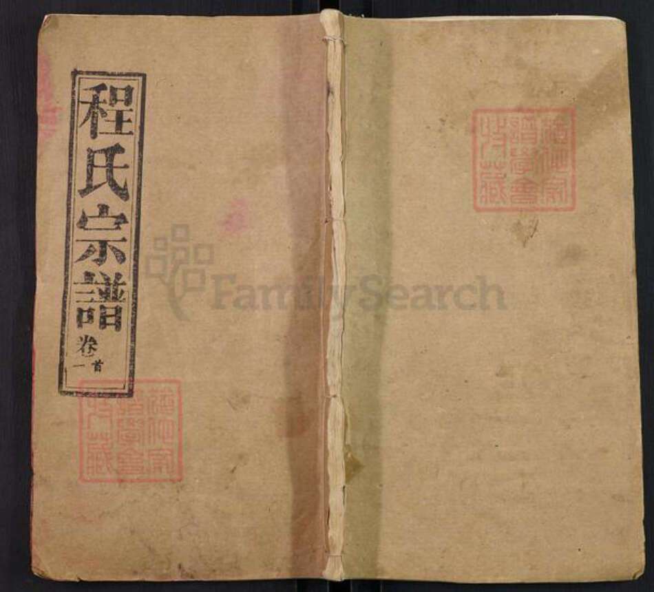 湖北省武汉市武昌区程氏瑞雪堂族谱-程氏宗谱.pdf电子版缩略图