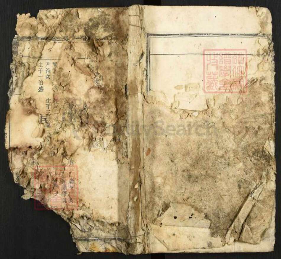 安徽省安庆市太湖县程氏族谱-程仲文公支谱.pdf电子版缩略图