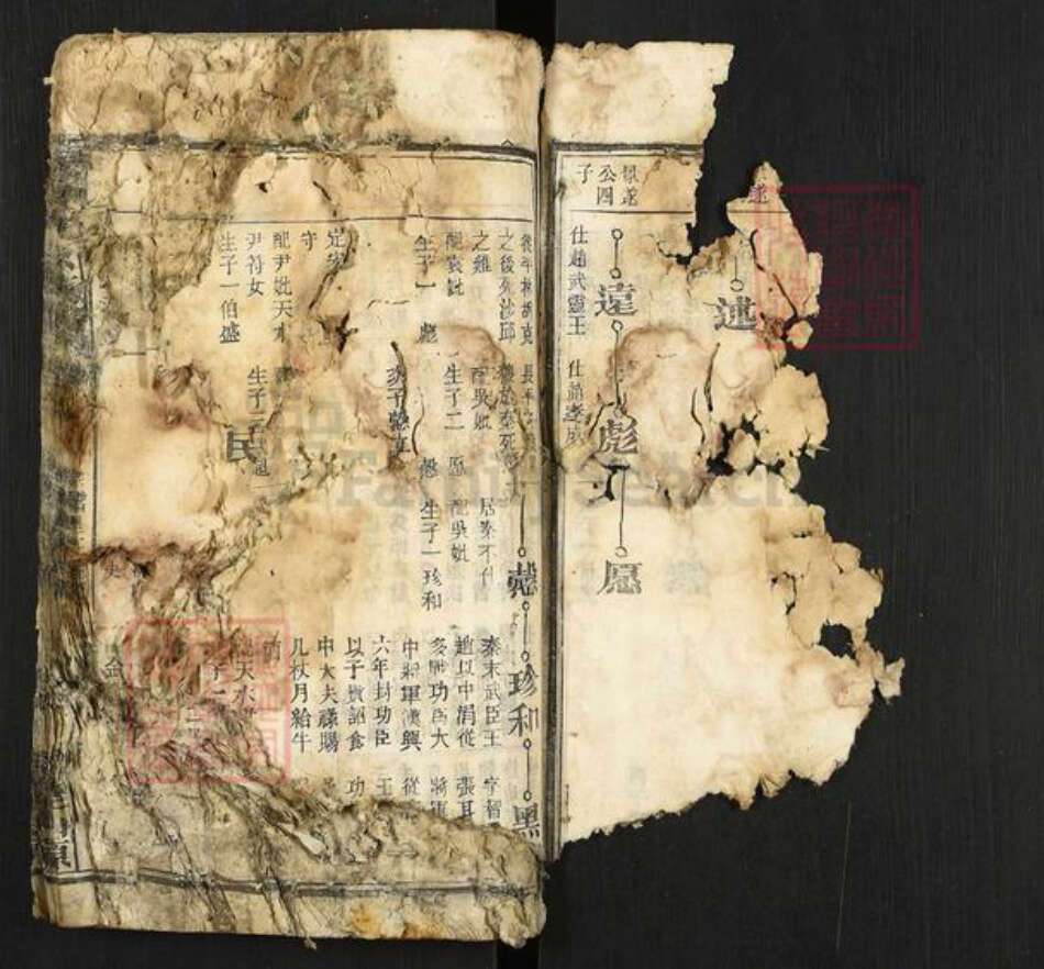 安徽省安庆市太湖县程氏族谱-程仲文公支谱.pdf电子版预览图1