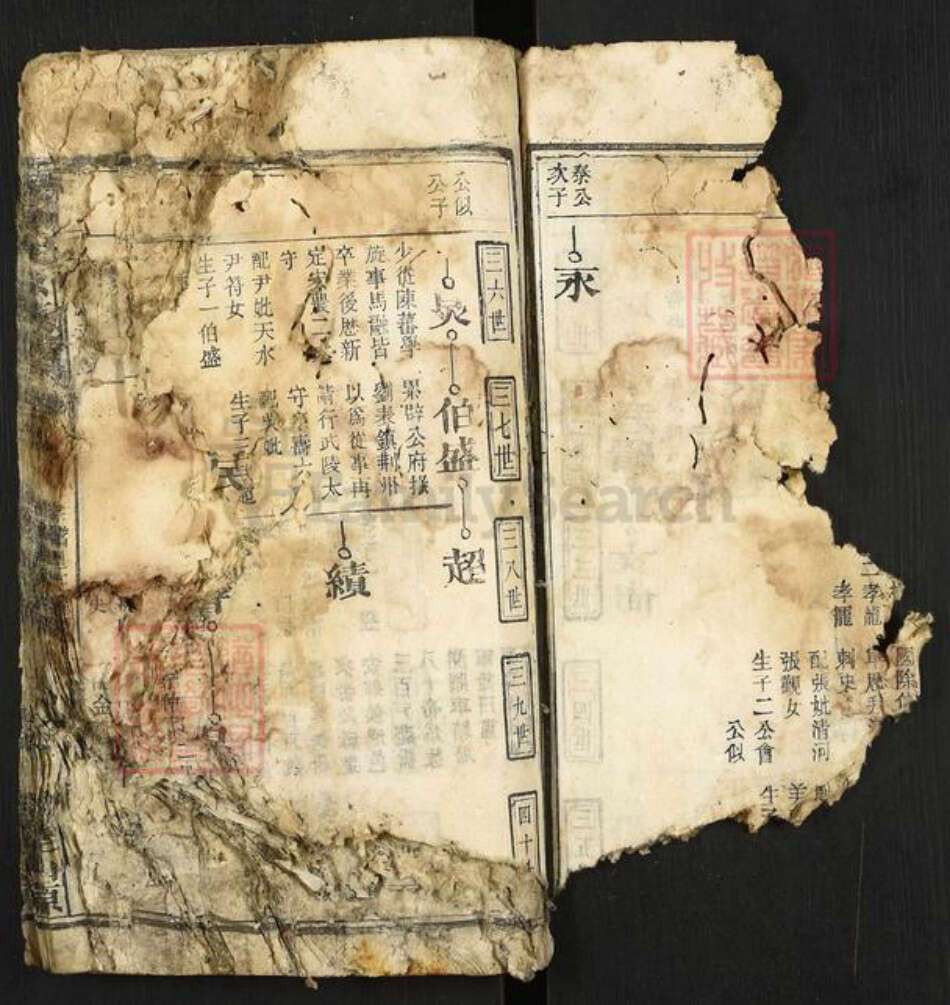 安徽省安庆市太湖县程氏族谱-程仲文公支谱.pdf电子版预览图2