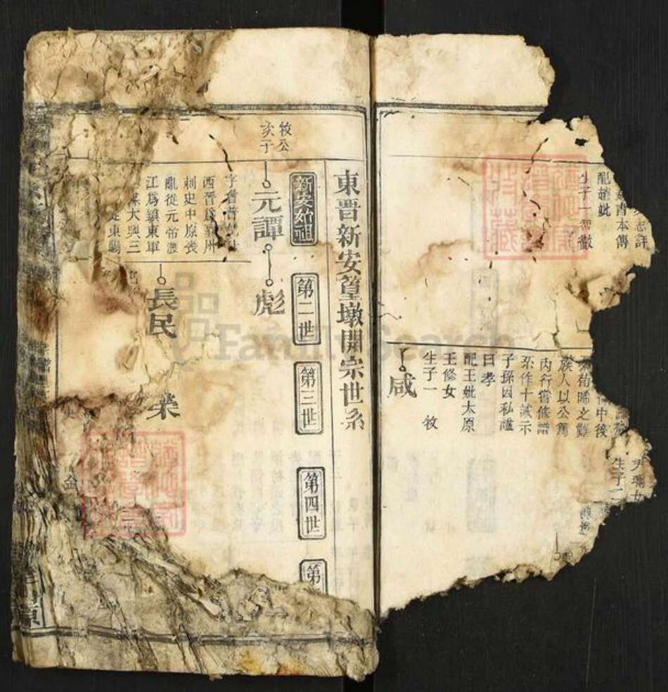 安徽省安庆市太湖县程氏族谱-程仲文公支谱.pdf电子版预览图4