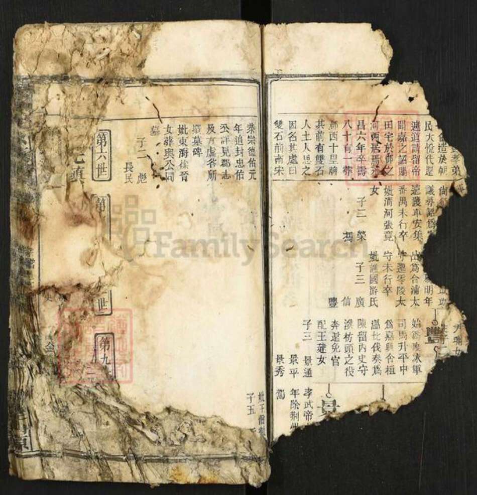 安徽省安庆市太湖县程氏族谱-程仲文公支谱.pdf电子版预览图5