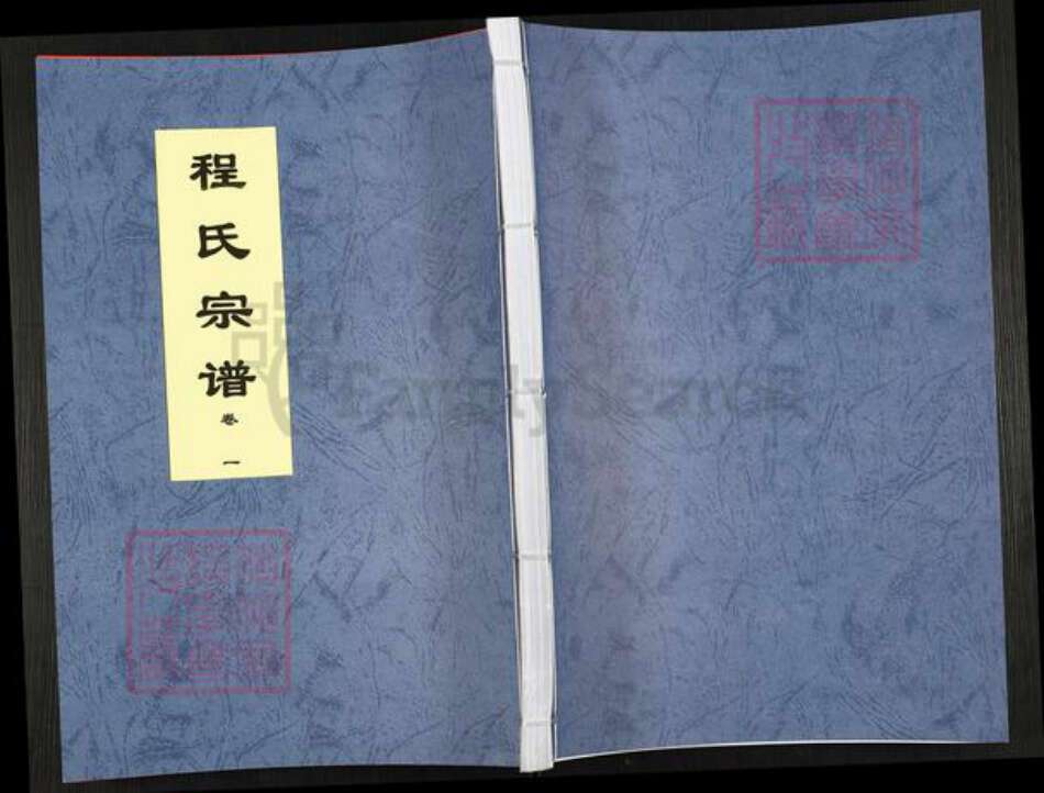 安徽省合肥市庐江县程氏四箴堂族谱-程氏宗谱.pdf电子版缩略图