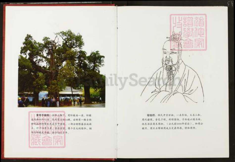 湖北省武汉市新洲区程氏四箴堂族谱-程氏宗谱.pdf电子版预览图4