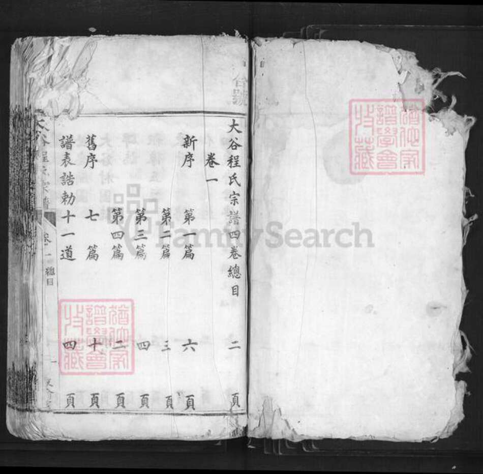 安徽省宣城市绩溪县长安镇程氏敦伦堂族谱-大谷程氏宗谱.pdf电子版预览图1