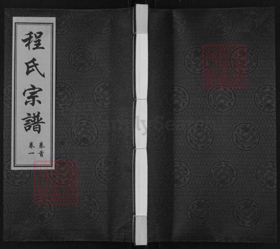 江苏省常州市武进县程氏光裕堂族谱-程氏宗谱.pdf电子版缩略图